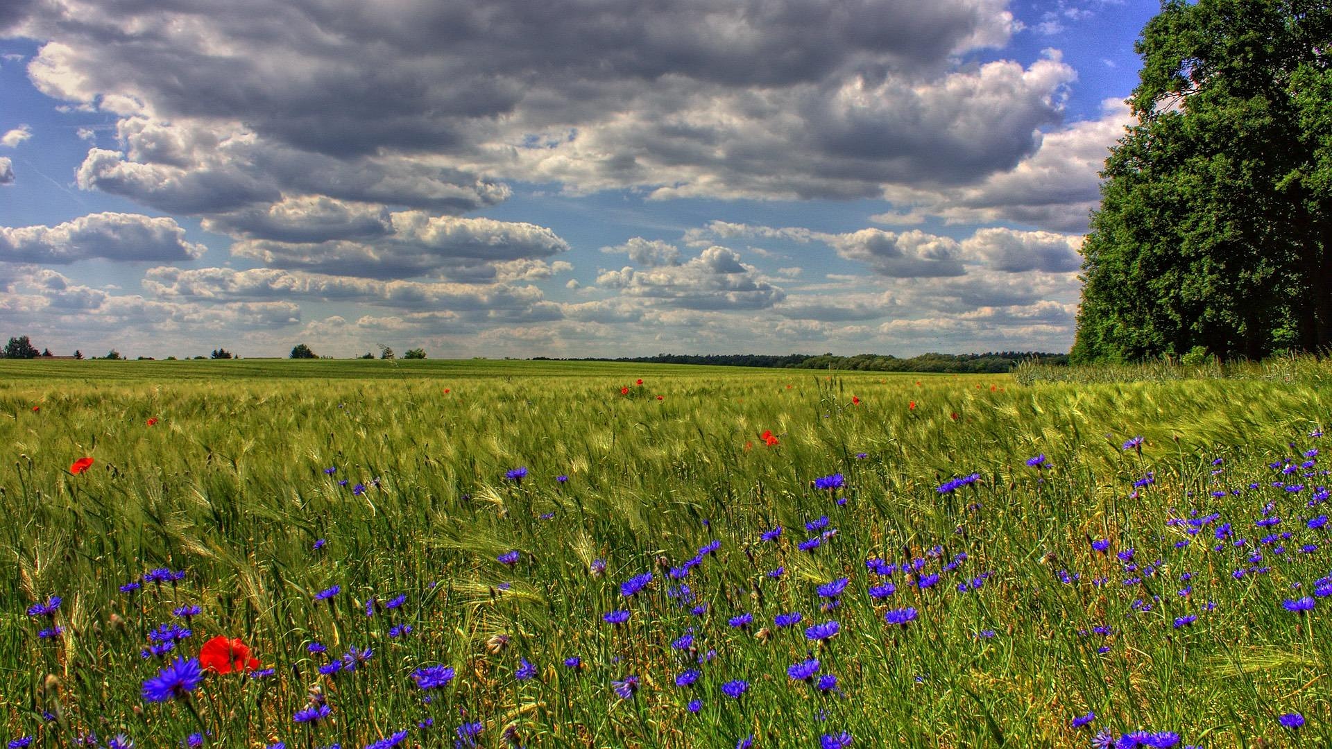 Landschaft im Landkreis Oberhavel